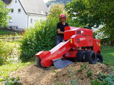 FSI D30 Baumstumpffräse
